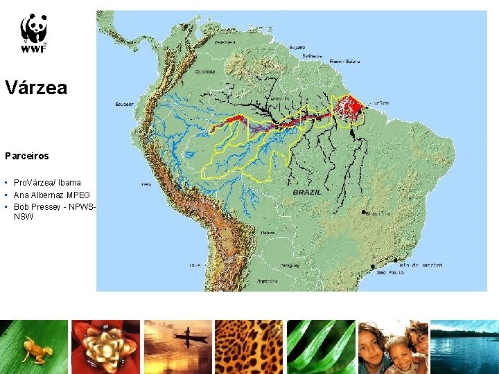 Várzea Parceiros • Pro. Várzea/ Ibama • Ana Albernaz MPEG • Bob Pressey - Várzea Parceiros • Pro. Várzea/ Ibama • Ana Albernaz MPEG • Bob Pressey -