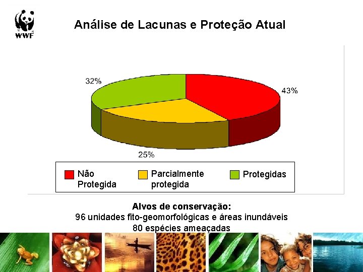 Análise de Lacunas e Proteção Atual Não Protegida Parcialmente protegida Protegidas Alvos de conservação: