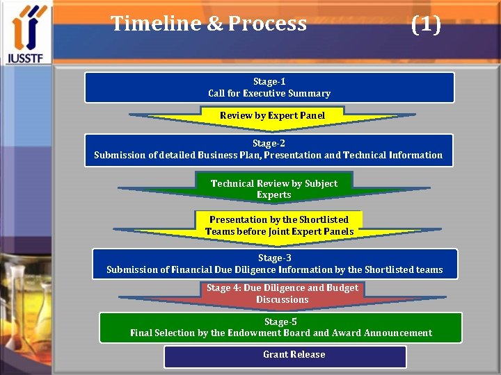 Timeline & Process (1) Stage-1 Call for Executive Summary Review by Expert Panel Stage-2