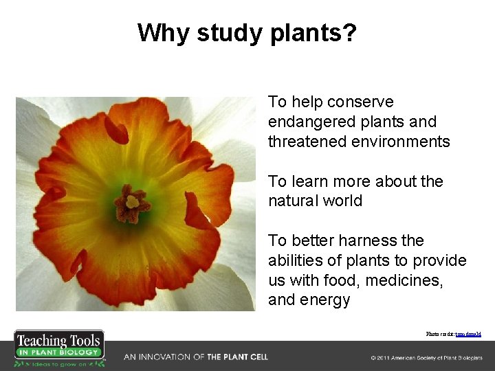 Why study plants? To help conserve endangered plants and threatened environments To learn more Why study plants? To help conserve endangered plants and threatened environments To learn more