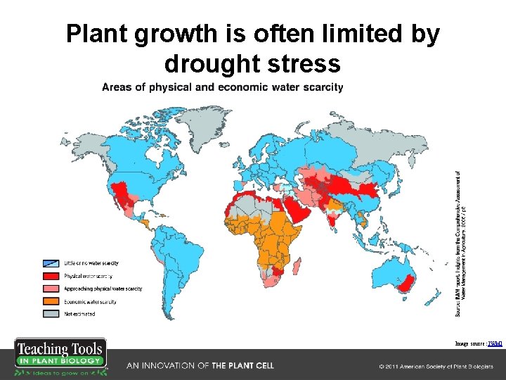 Plant growth is often limited by drought stress Image source: IWMI Plant growth is often limited by drought stress Image source: IWMI