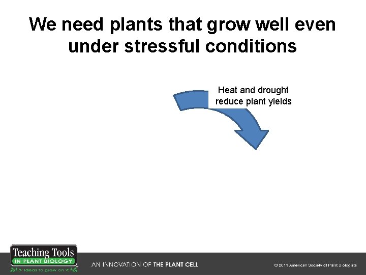 We need plants that grow well even under stressful conditions Heat and drought reduce We need plants that grow well even under stressful conditions Heat and drought reduce