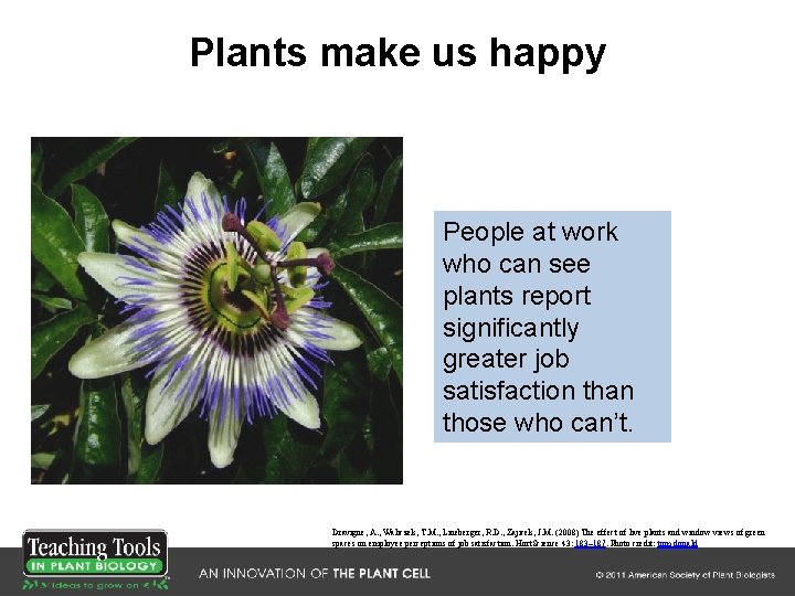 Plants make us happy People at work who can see plants report significantly greater Plants make us happy People at work who can see plants report significantly greater