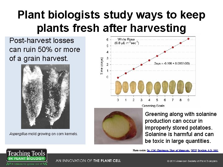 Plant biologists study ways to keep plants fresh after harvesting Post-harvest losses can ruin Plant biologists study ways to keep plants fresh after harvesting Post-harvest losses can ruin