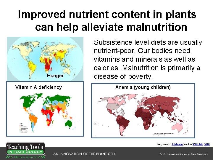 Improved nutrient content in plants can help alleviate malnutrition Hunger Vitamin A deficiency Subsistence Improved nutrient content in plants can help alleviate malnutrition Hunger Vitamin A deficiency Subsistence