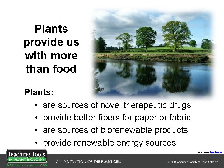 Plants provide us with more than food Plants: • are sources of novel therapeutic Plants provide us with more than food Plants: • are sources of novel therapeutic