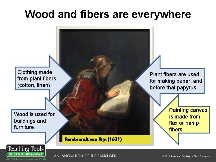 Wood and fibers are everywhere Clothing made from plant fibers (cotton, linen) Plant fibers Wood and fibers are everywhere Clothing made from plant fibers (cotton, linen) Plant fibers