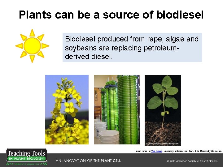 Plants can be a source of biodiesel Biodiesel produced from rape, algae and soybeans Plants can be a source of biodiesel Biodiesel produced from rape, algae and soybeans