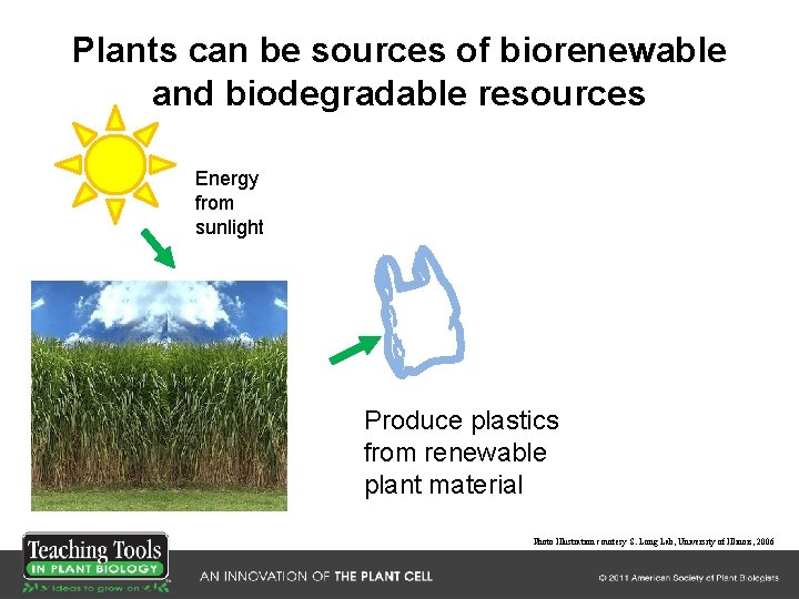Plants can be sources of biorenewable and biodegradable resources Energy from sunlight Produce plastics Plants can be sources of biorenewable and biodegradable resources Energy from sunlight Produce plastics