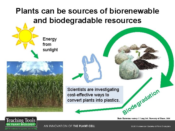 Plants can be sources of biorenewable and biodegradable resources Energy from sunlight Scientists are Plants can be sources of biorenewable and biodegradable resources Energy from sunlight Scientists are