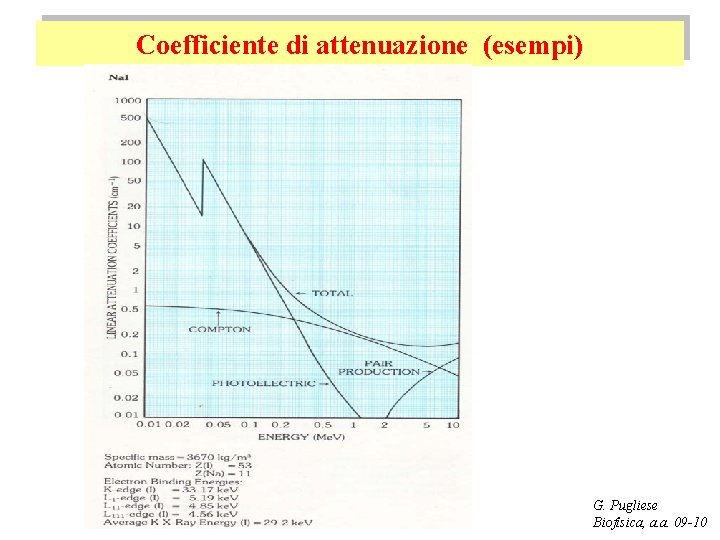 Coefficiente di attenuazione (esempi) G. Pugliese Biofisica, a. a. 09 -10 
