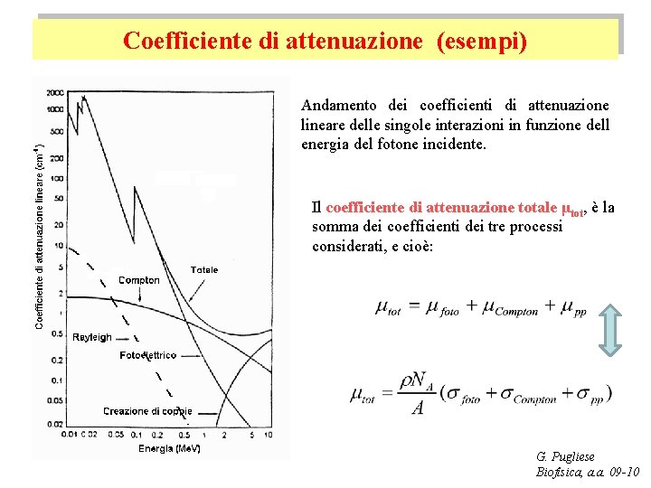 Coefficiente di attenuazione (esempi) Andamento dei coefficienti di attenuazione lineare delle singole interazioni in