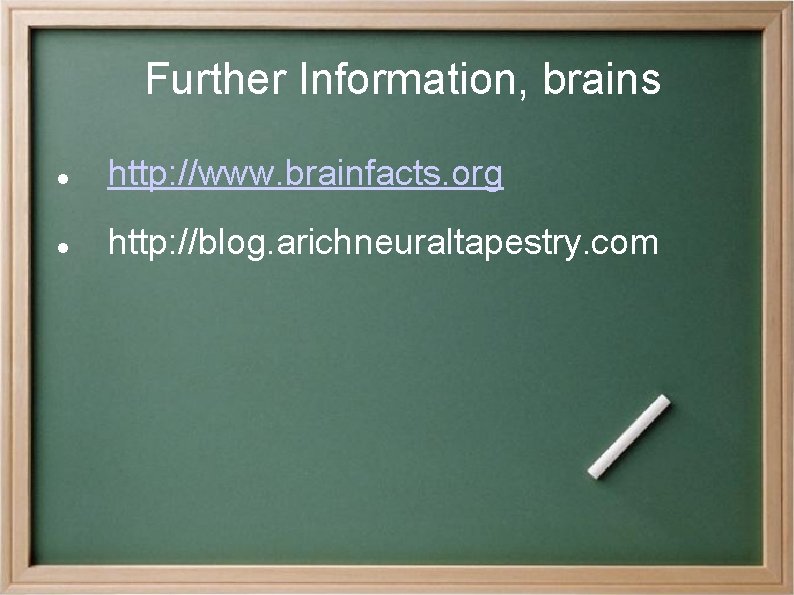 Further Information, brains http: //www. brainfacts. org http: //blog. arichneuraltapestry. com 