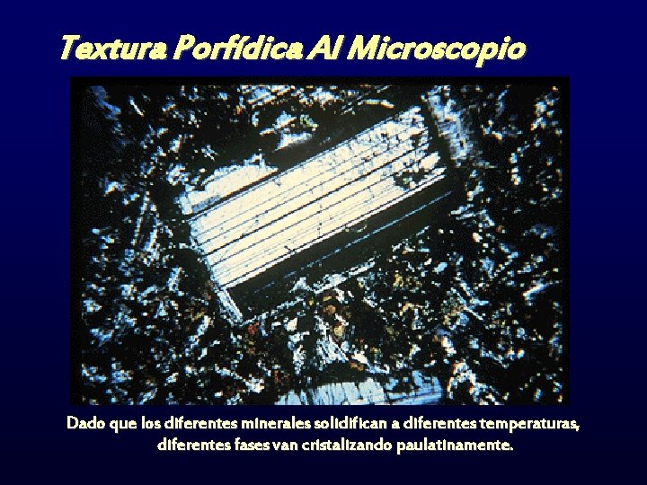Textura Porfídica Al Microscopio Dado que los diferentes minerales solidifican a diferentes temperaturas, diferentes