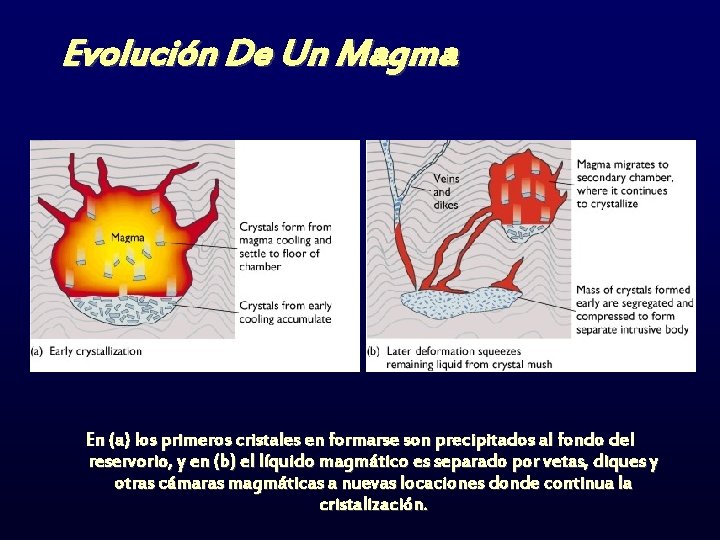 Evolución De Un Magma En (a) los primeros cristales en formarse son precipitados al