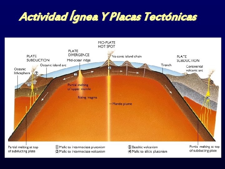 Actividad Ígnea Y Placas Tectónicas 