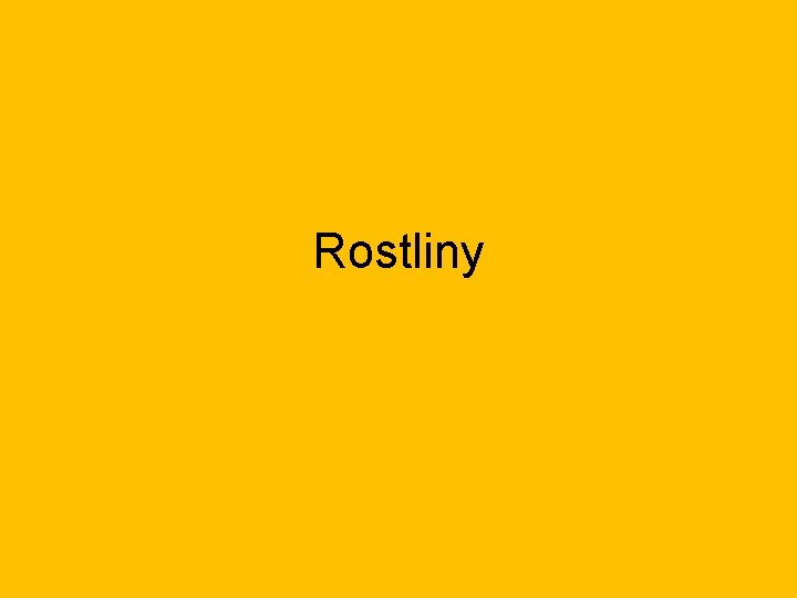 Rostliny 