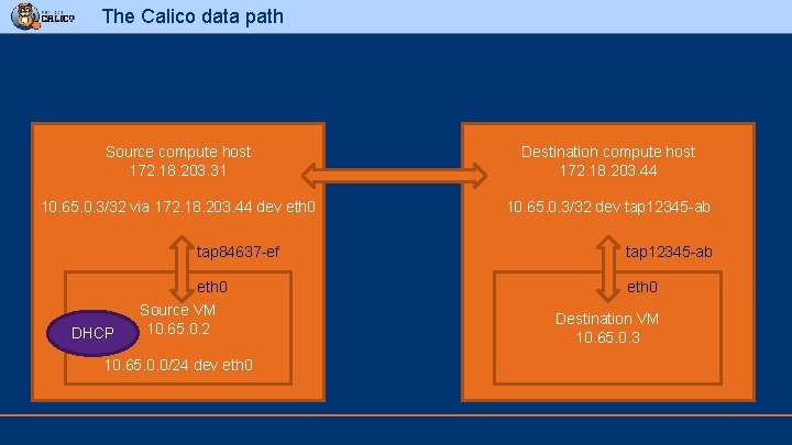 The Calico data path Source compute host 172. 18. 203. 31 Destination compute host
