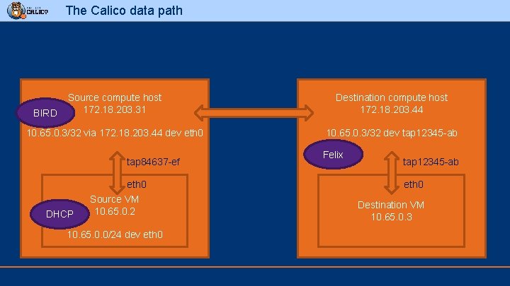 The Calico data path Source compute host 172. 18. 203. 31 Destination compute host