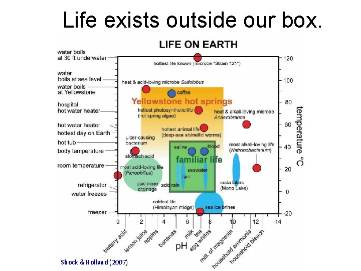 Life exists outside our box. Subtitle Text Shock & Holland (2007) 