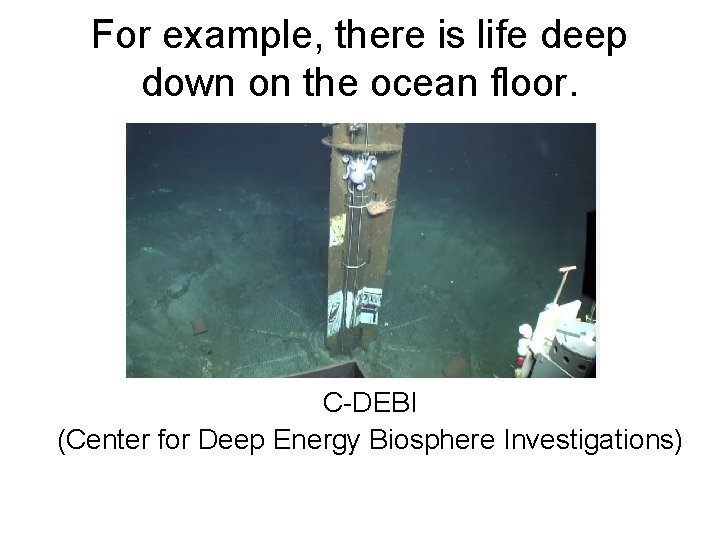 For example, there is life deep down on the ocean floor. C-DEBI (Center for