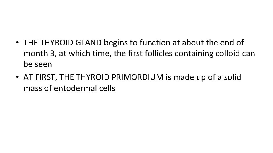  • THE THYROID GLAND begins to function at about the end of month