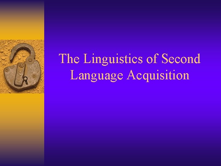 The Linguistics of Second Language Acquisition 