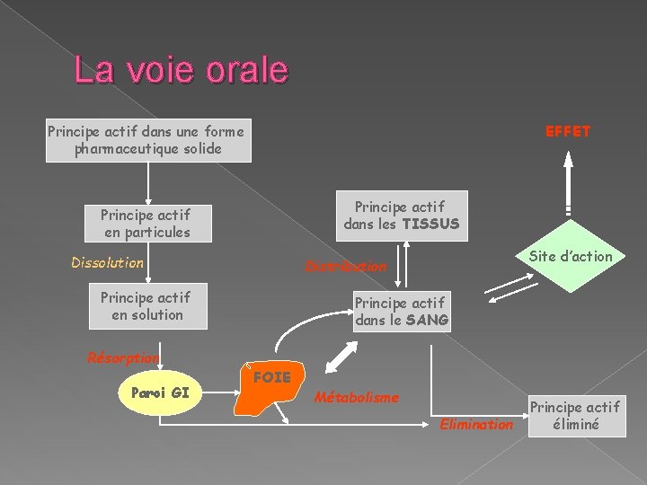 La voie orale Principe actif dans une forme pharmaceutique solide EFFET Principe actif dans La voie orale Principe actif dans une forme pharmaceutique solide EFFET Principe actif dans