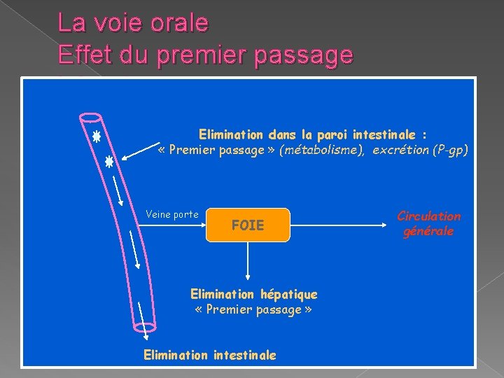 La voie orale Effet du premier passage hépatique Elimination dans la paroi intestinale : La voie orale Effet du premier passage hépatique Elimination dans la paroi intestinale :