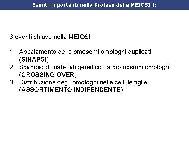 Eventi importanti nella Profase della MEIOSI I: 3 eventi chiave nella MEIOSI I 1.