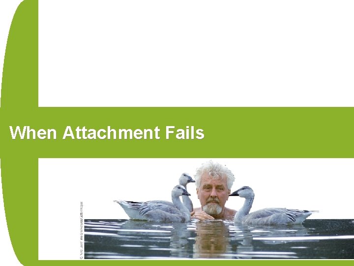 When Attachment Fails 