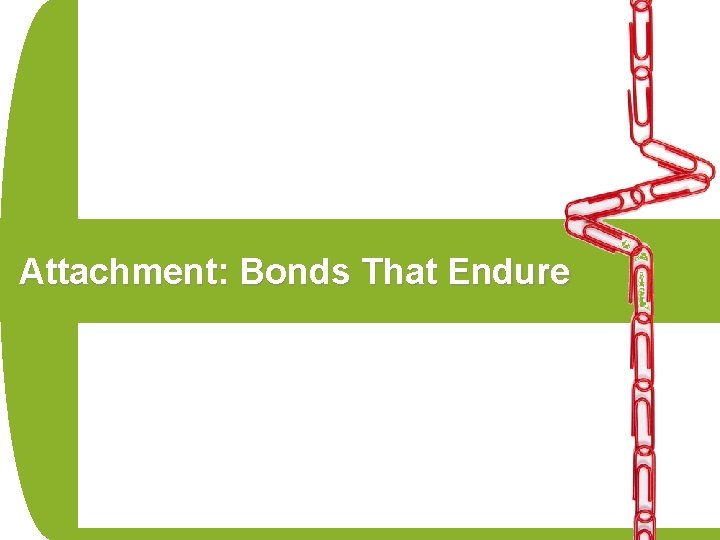Attachment: Bonds That Endure 