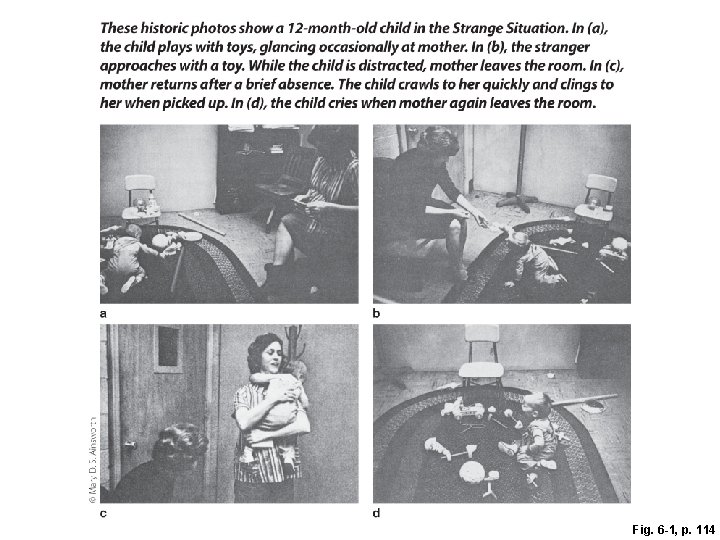 Fig. 6 -1, p. 114 