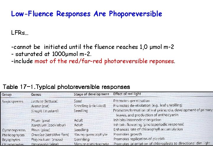 Low-Fluence Responses Are Phoporeversible LFRs… -cannot be initiated until the fluence reaches 1, 0