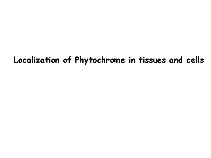 Localization of Phytochrome in tissues and cells 