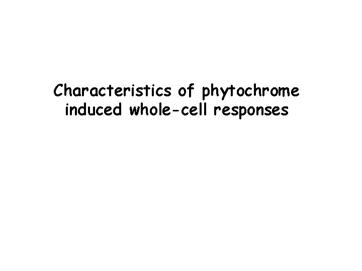 Characteristics of phytochrome induced whole-cell responses 