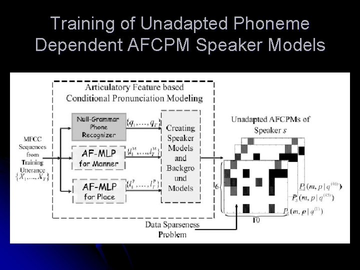 Training of Unadapted Phoneme Dependent AFCPM Speaker Models 