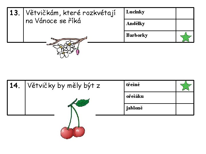 13. Větvičkám, které rozkvétají na Vánoce se říká Lucinky Andělky Barborky 14. Větvičky by