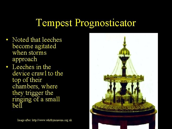 Tempest Prognosticator • Noted that leeches become agitated when storms approach • Leeches in