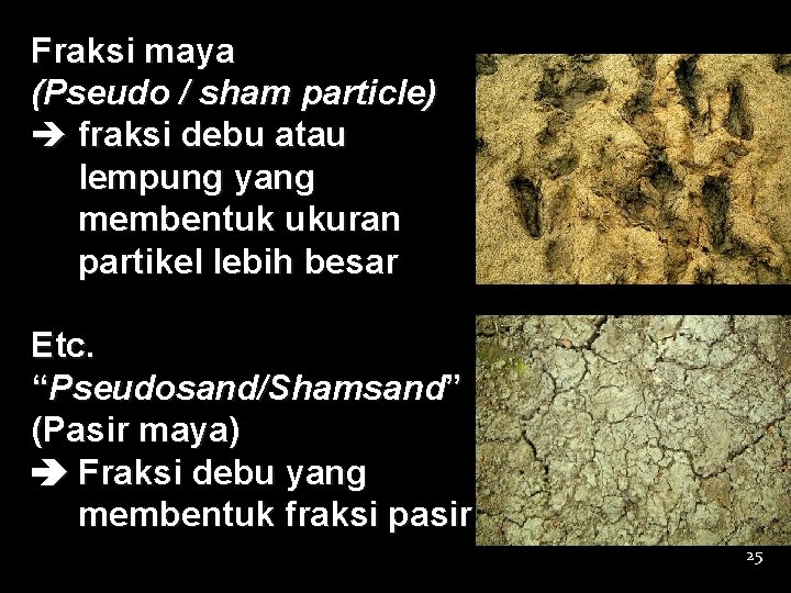 Fraksi maya (Pseudo / sham particle) è fraksi debu atau lempung yang membentuk ukuran