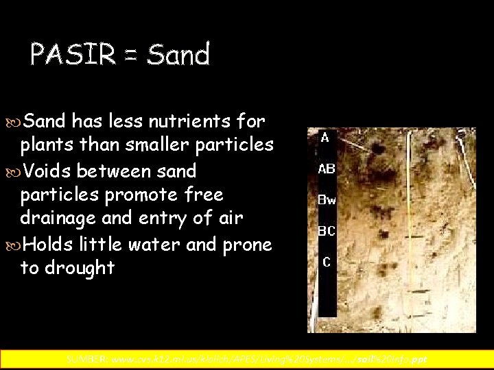 PASIR = Sand has less nutrients for plants than smaller particles Voids between sand