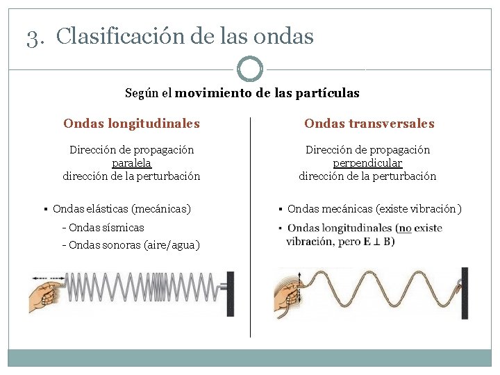 3. Clasificación de las ondas Según el movimiento de las partículas Ondas longitudinales Ondas