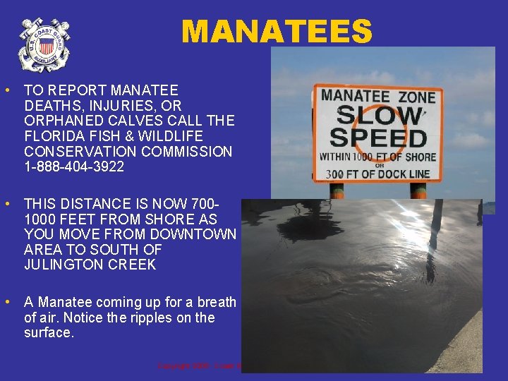 MANATEES • TO REPORT MANATEE DEATHS, INJURIES, OR ORPHANED CALVES CALL THE FLORIDA FISH