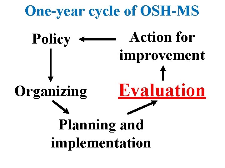 One-year cycle of OSH-MS Policy Action for improvement Organizing Evaluation Planning and implementation 