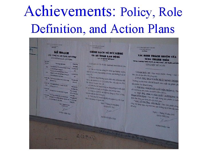 Achievements: Policy, Role Definition, and Action Plans 