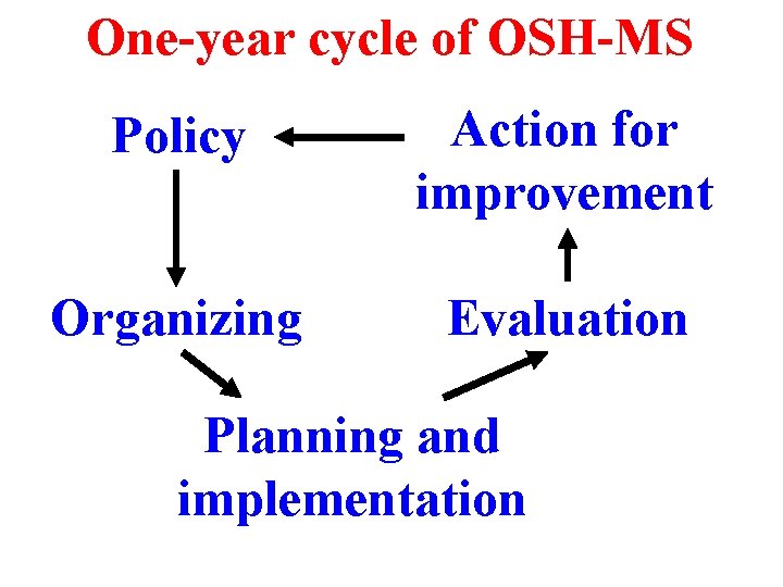 One-year cycle of OSH-MS Policy Action for improvement Organizing Evaluation Planning and implementation 