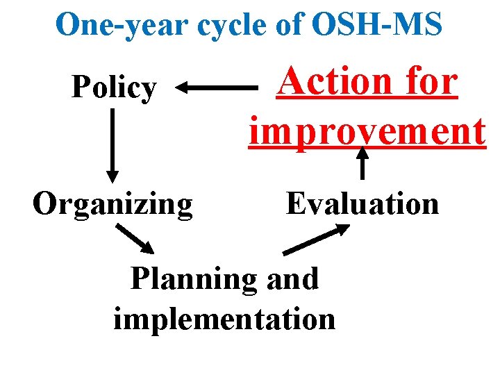 One-year cycle of OSH-MS Policy Action for improvement Organizing Evaluation Planning and implementation 