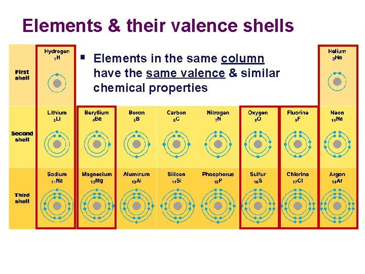 Elements & their valence shells § Elements in the same column have the same