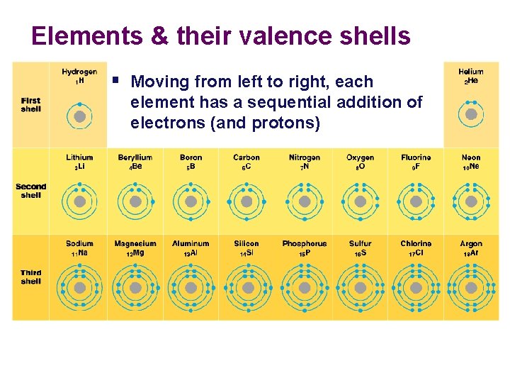 Elements & their valence shells § Moving from left to right, each element has