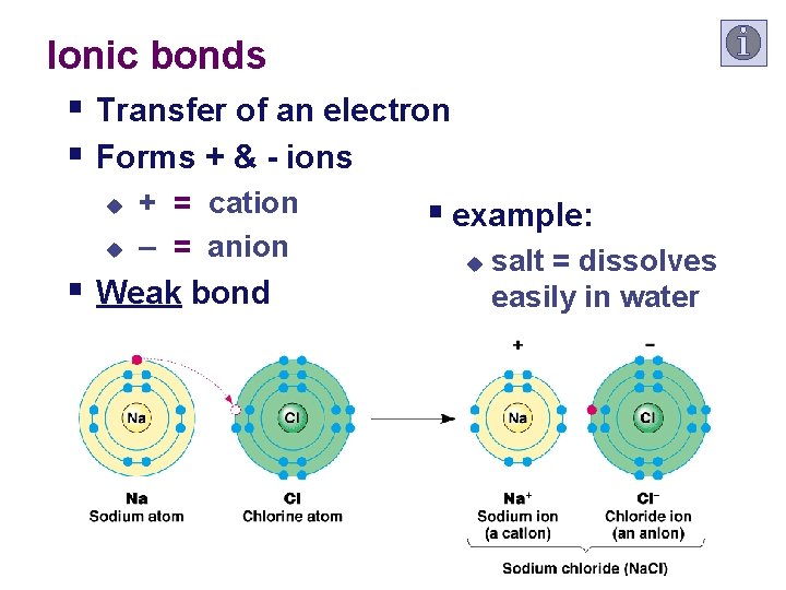 Ionic bonds § Transfer of an electron § Forms + & - ions u